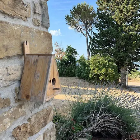 Casale In Collina Immerso Nel Con Piscina E Ampio Giardino * 艾姆波蒂德
