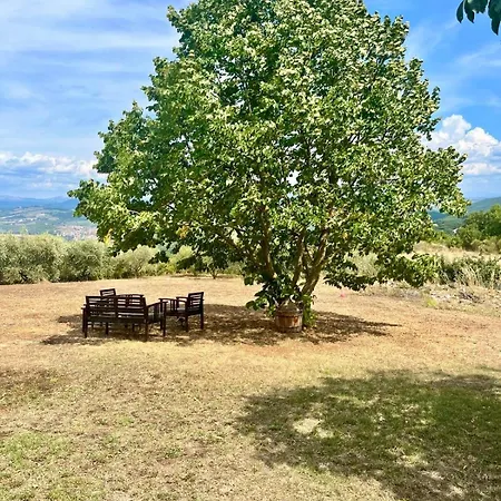 Villa Casale In Collina Immerso Nel Con Piscina E Ampio Giardino *
