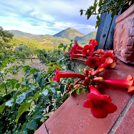 Casale In Collina Immerso Nel Con Piscina E Ampio Giardino